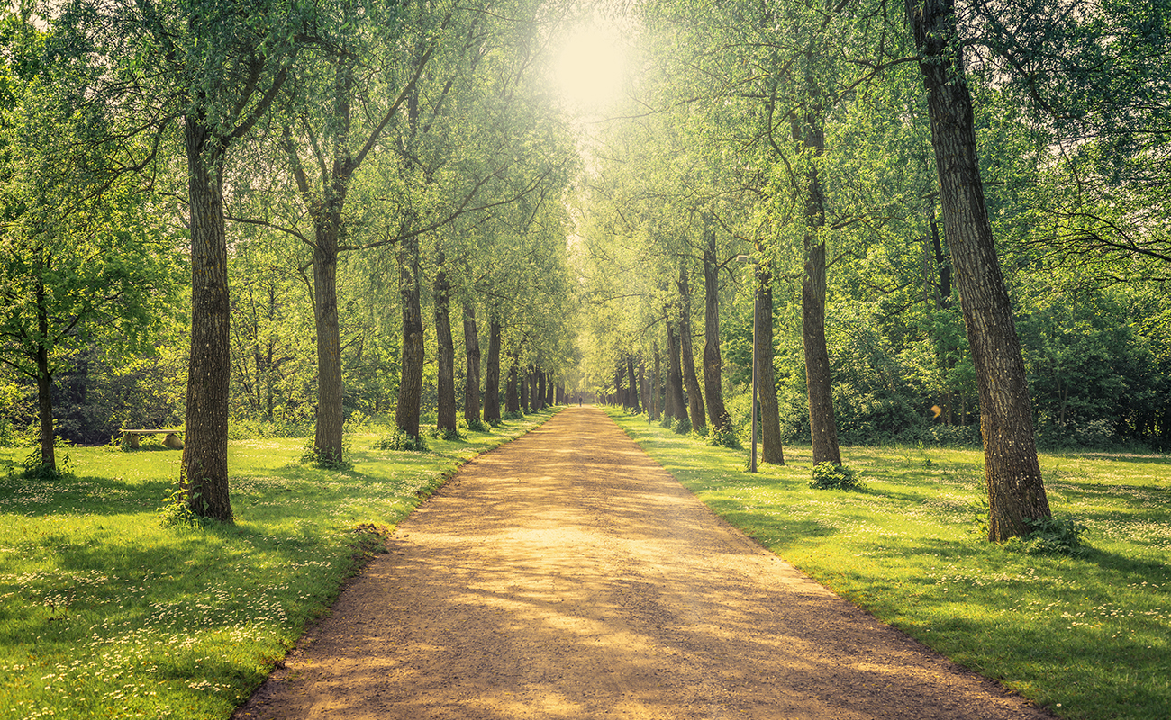 도심 속 풍부한 녹지 및 자연환경